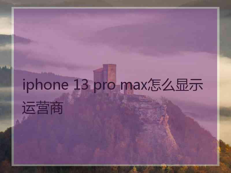 iphone 13 pro max怎么显示运营商