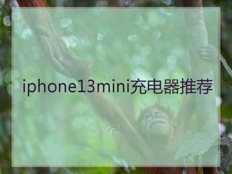 iphone13mini充电器推荐