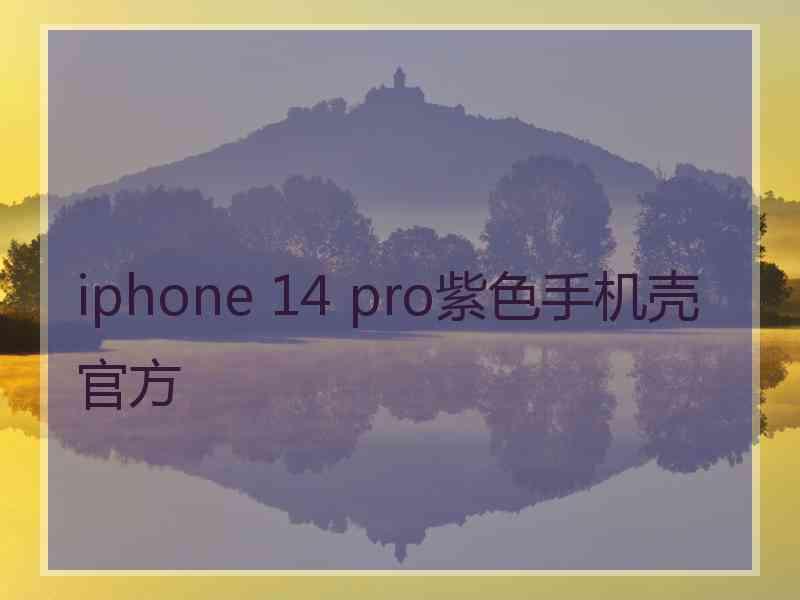 iphone 14 pro紫色手机壳官方