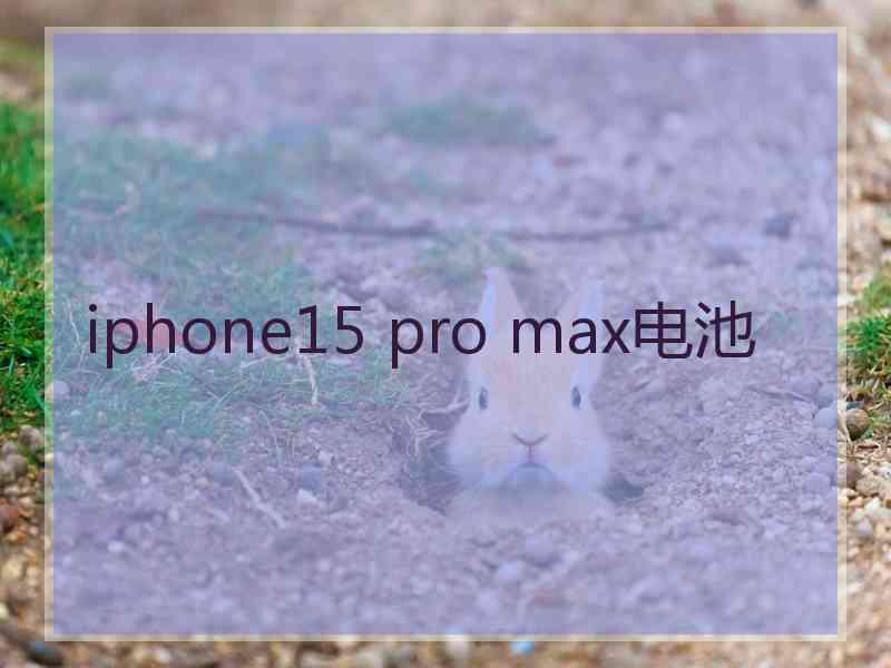 iphone15 pro max电池