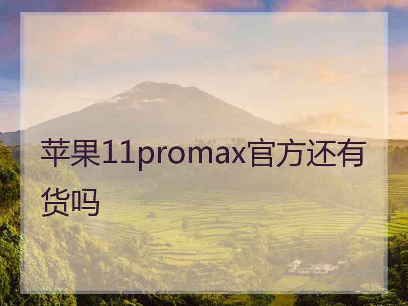 苹果11promax官方还有货吗