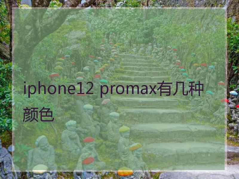 iphone12 promax有几种颜色