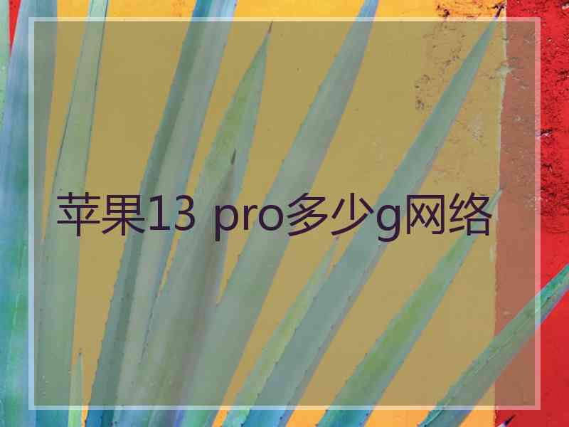 苹果13 pro多少g网络