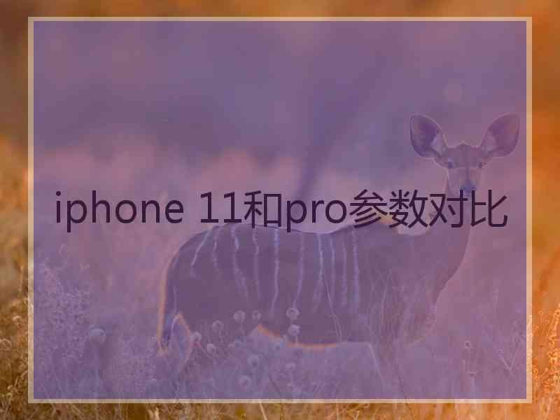 iphone 11和pro参数对比