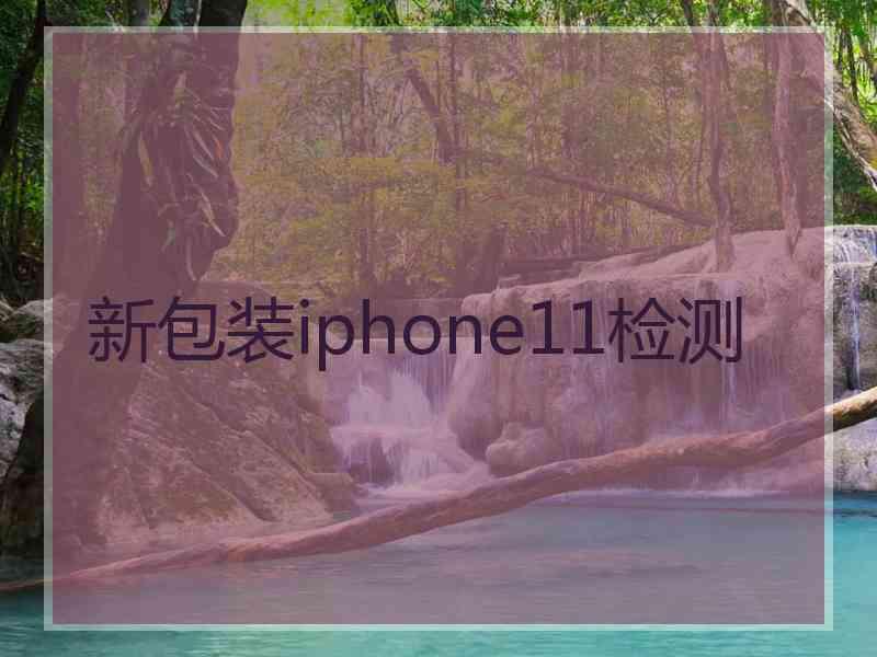 新包装iphone11检测