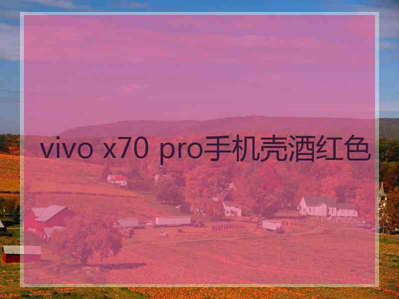 vivo x70 pro手机壳酒红色