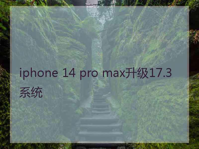 iphone 14 pro max升级17.3系统