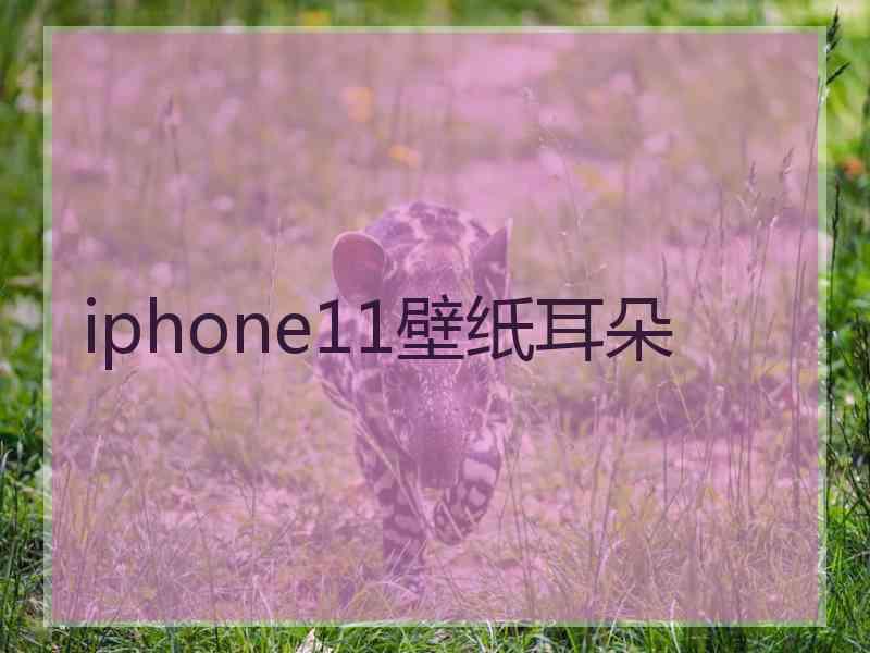 iphone11壁纸耳朵