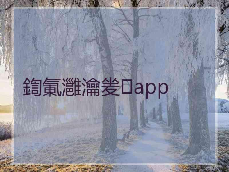 鍧氭灉瀹夎app