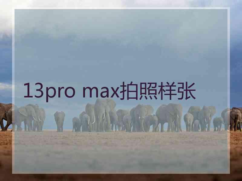 13pro max拍照样张