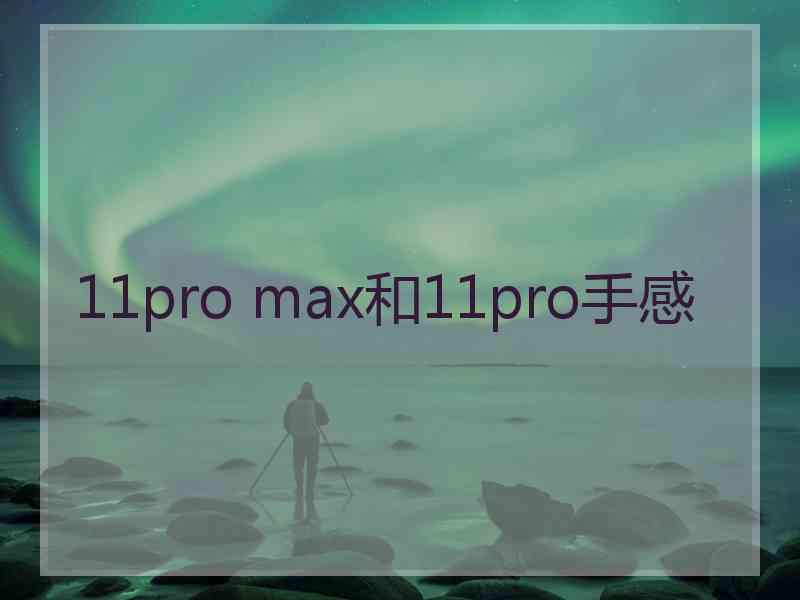 11pro max和11pro手感