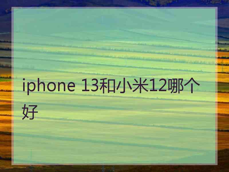 iphone 13和小米12哪个好