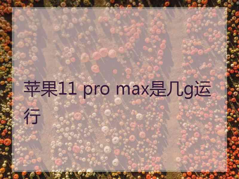 苹果11 pro max是几g运行