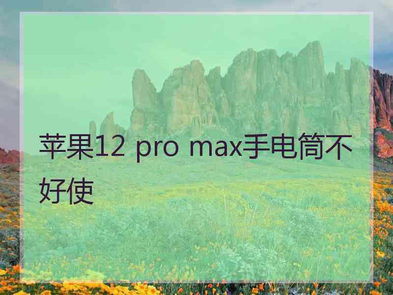 苹果12 pro max手电筒不好使