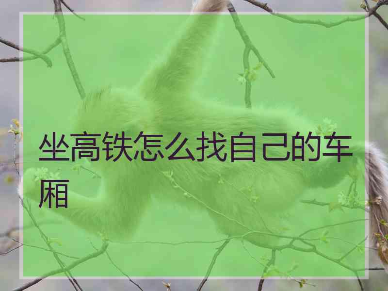 坐高铁怎么找自己的车厢