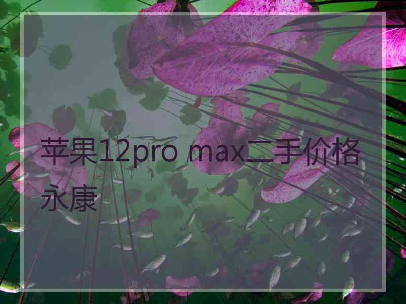 苹果12pro max二手价格永康