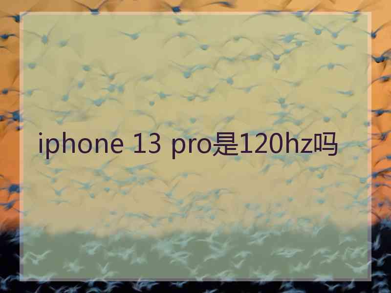 iphone 13 pro是120hz吗