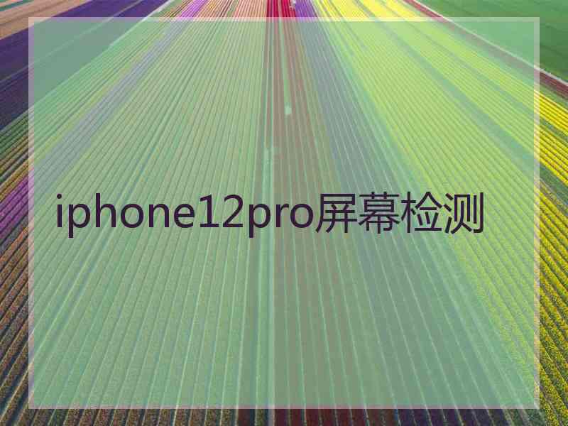 iphone12pro屏幕检测