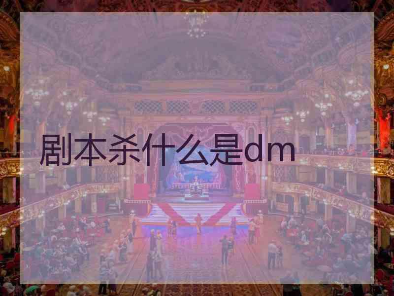 剧本杀什么是dm