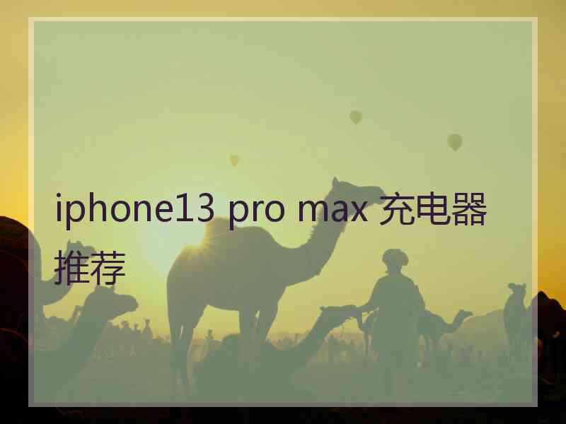 iphone13 pro max 充电器推荐