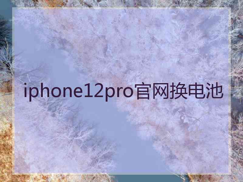 iphone12pro官网换电池