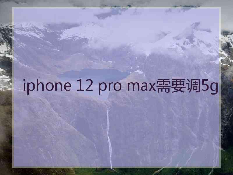 iphone 12 pro max需要调5g