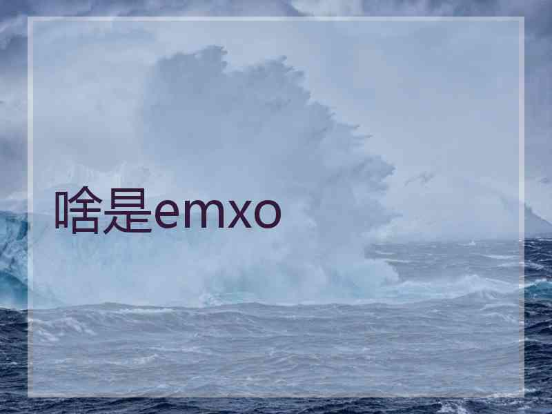 啥是emxo