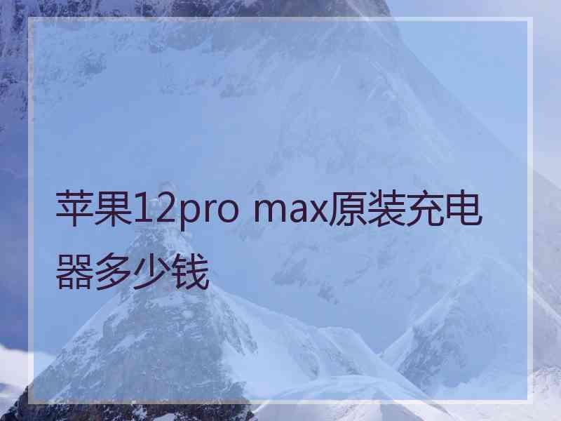 苹果12pro max原装充电器多少钱