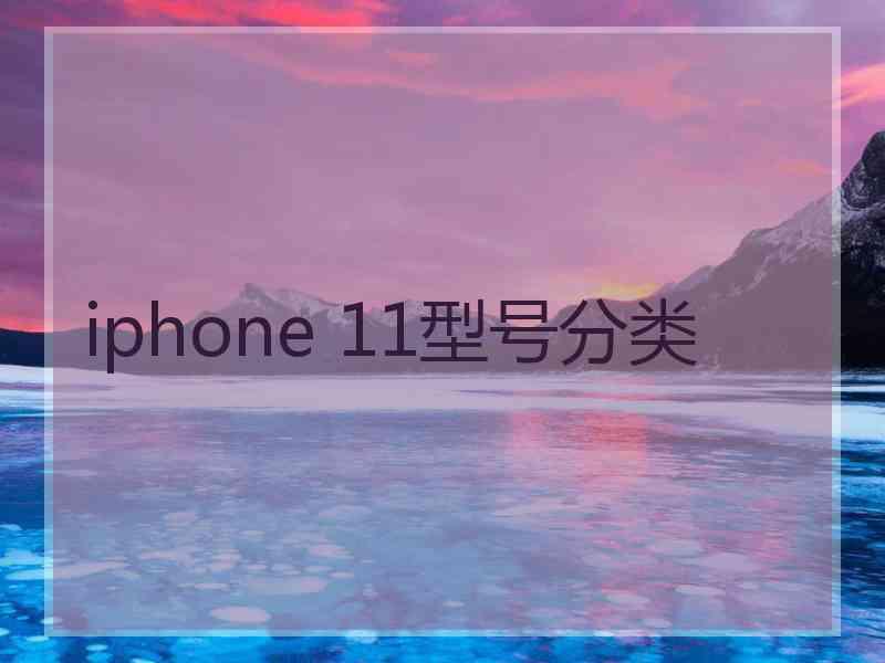 iphone 11型号分类