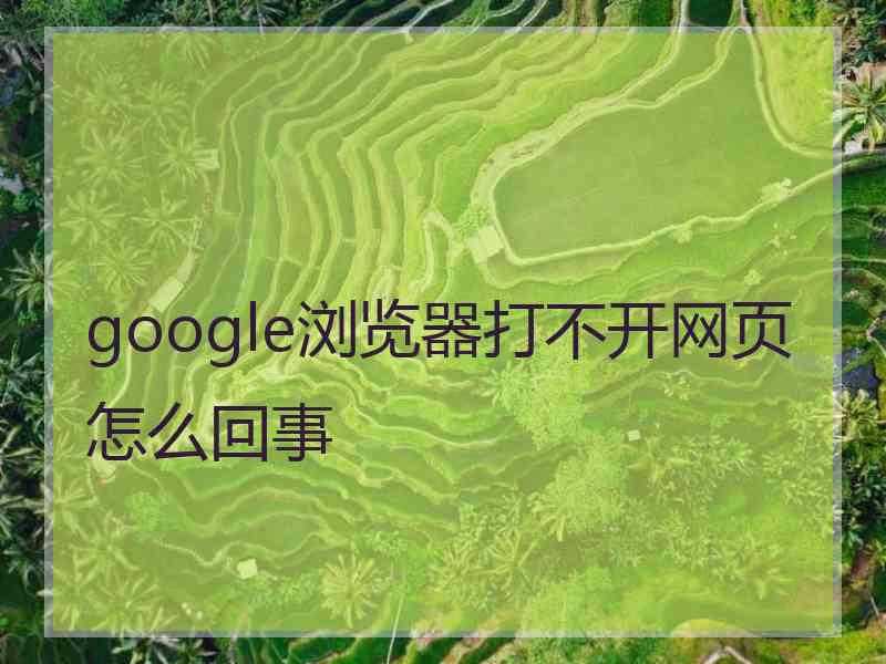 google浏览器打不开网页怎么回事