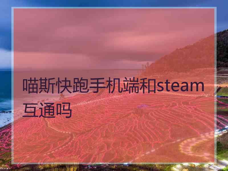 喵斯快跑手机端和steam互通吗