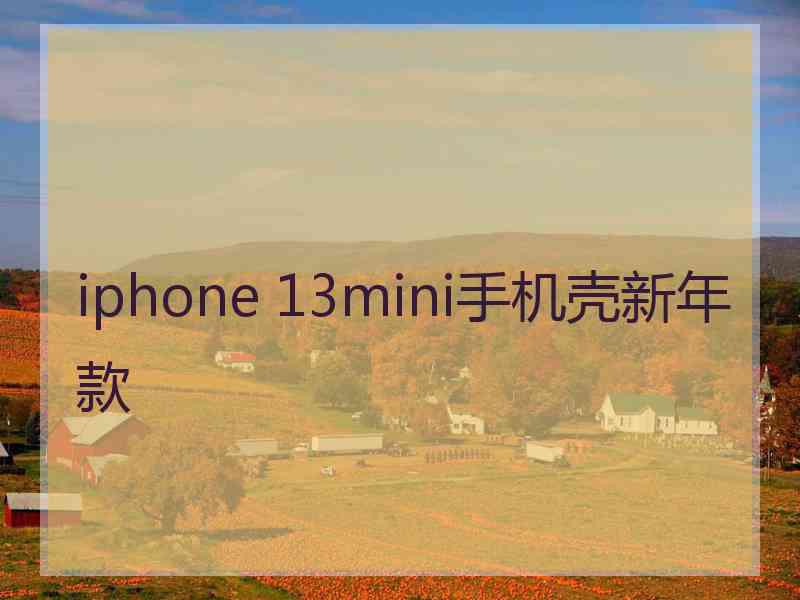 iphone 13mini手机壳新年款