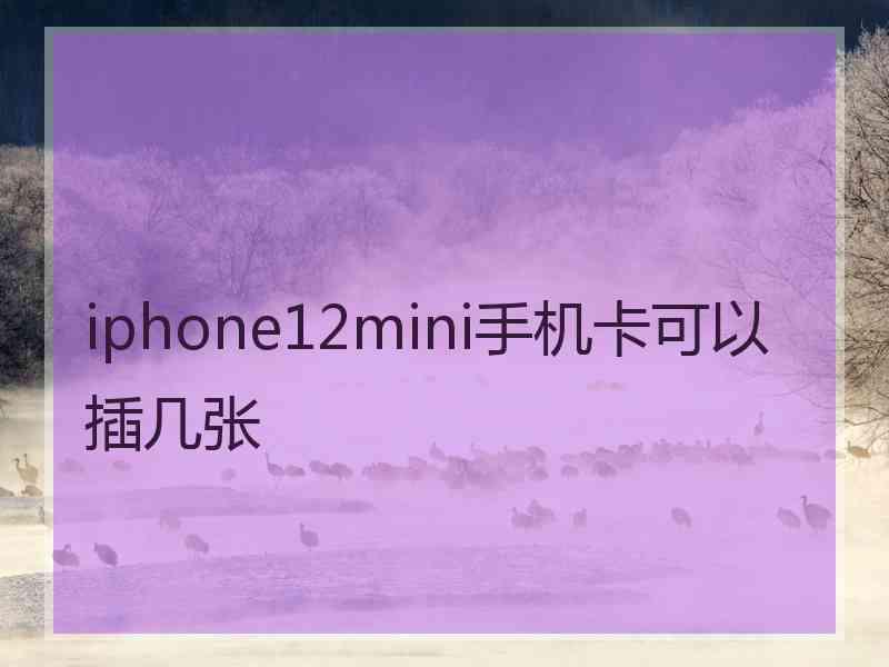 iphone12mini手机卡可以插几张