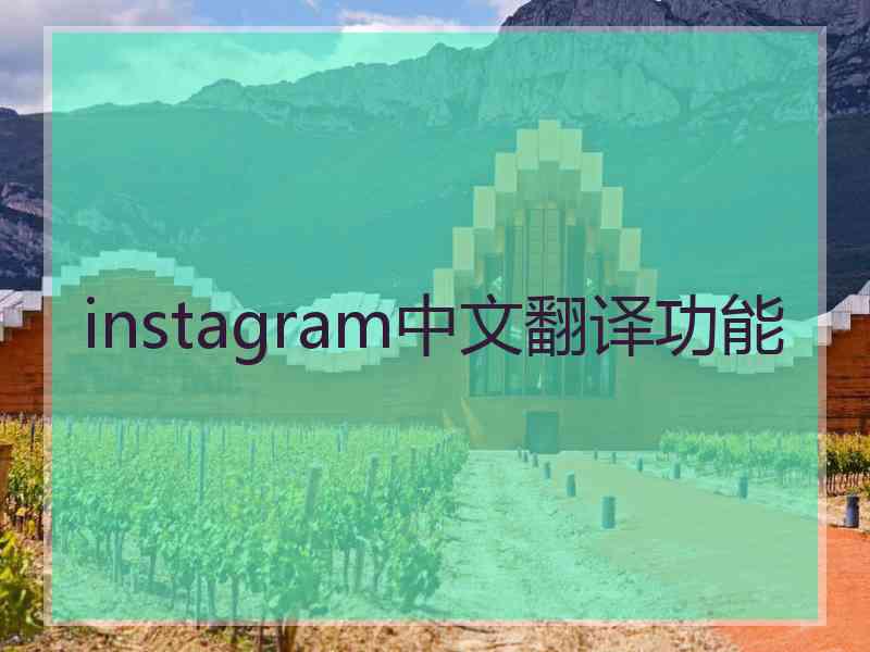 instagram中文翻译功能