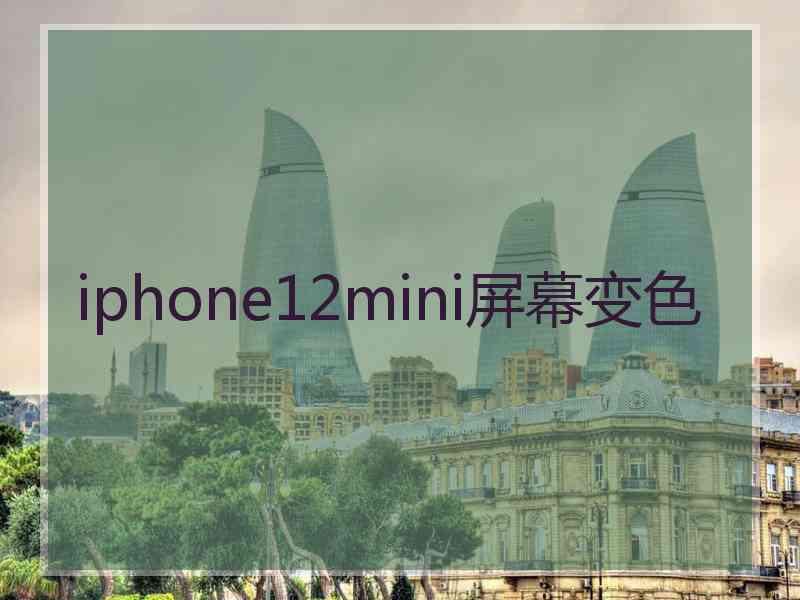 iphone12mini屏幕变色