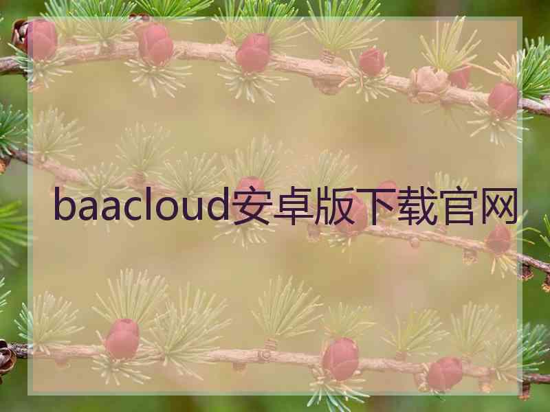 baacloud安卓版下载官网