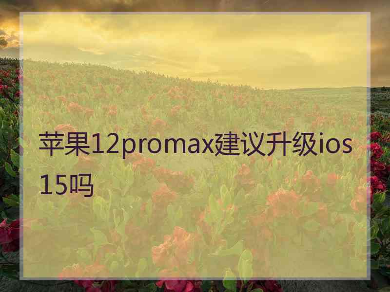 苹果12promax建议升级ios15吗