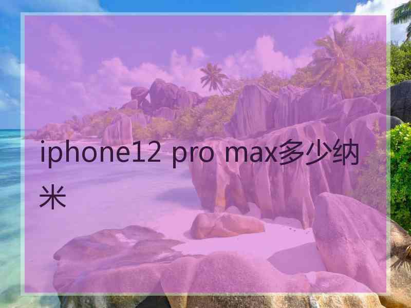 iphone12 pro max多少纳米