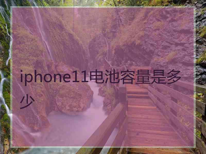 iphone11电池容量是多少