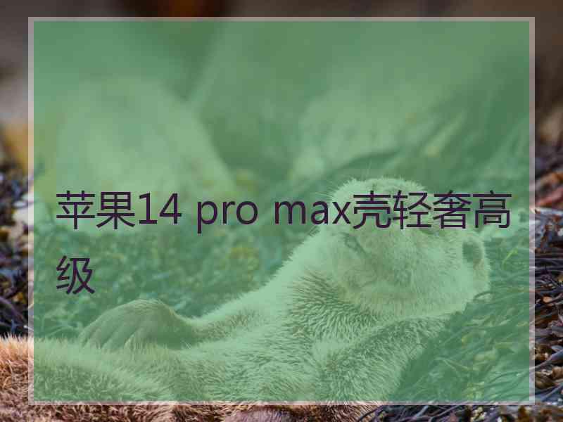 苹果14 pro max壳轻奢高级