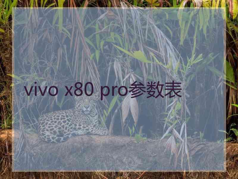 vivo x80 pro参数表