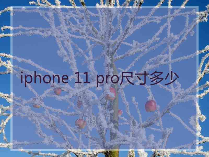 iphone 11 pro尺寸多少