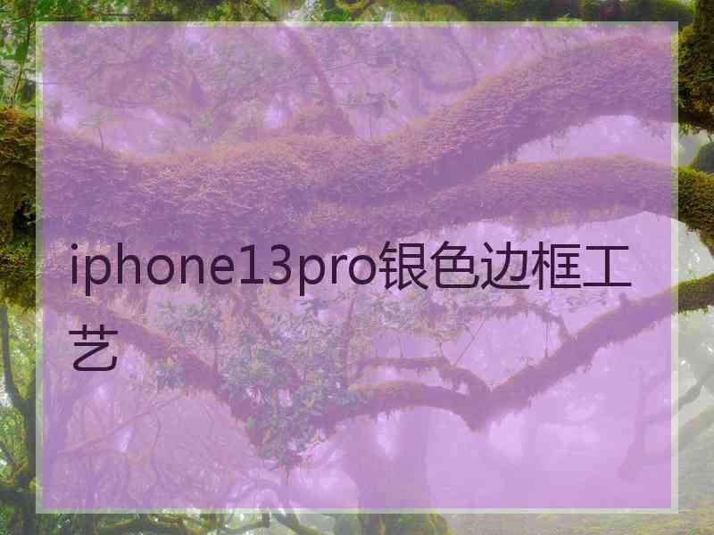 iphone13pro银色边框工艺