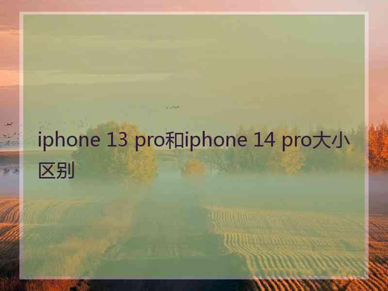 iphone 13 pro和iphone 14 pro大小区别