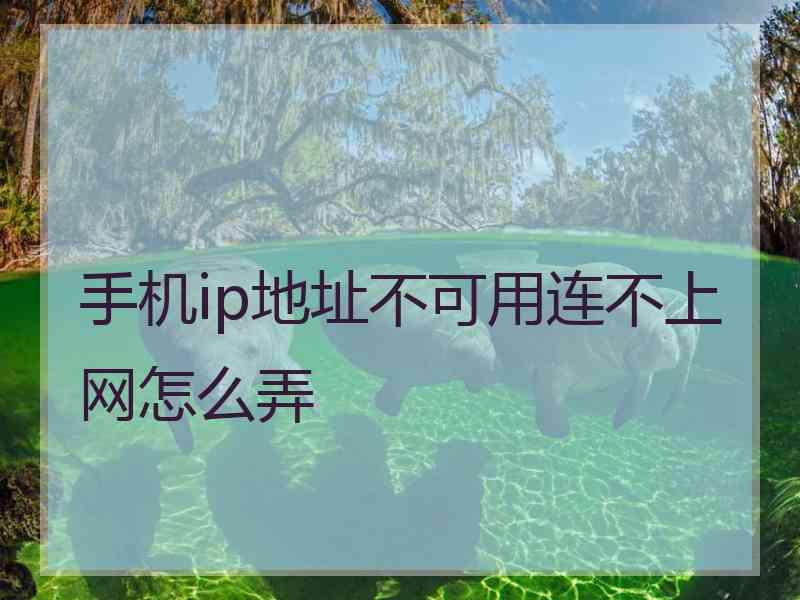 手机ip地址不可用连不上网怎么弄