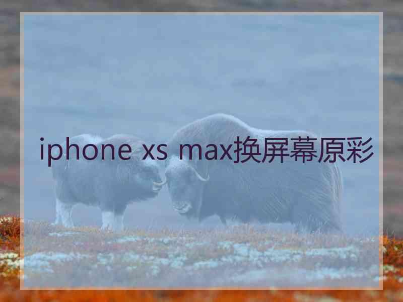 iphone xs max换屏幕原彩