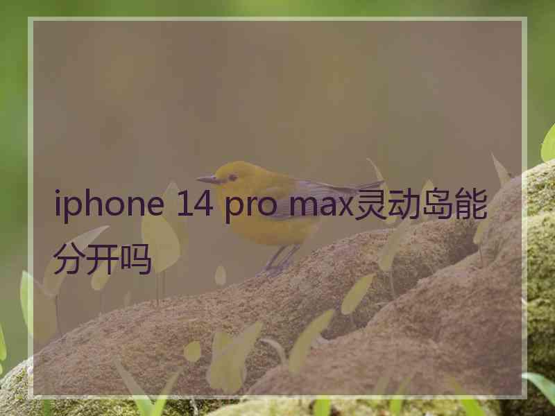 iphone 14 pro max灵动岛能分开吗