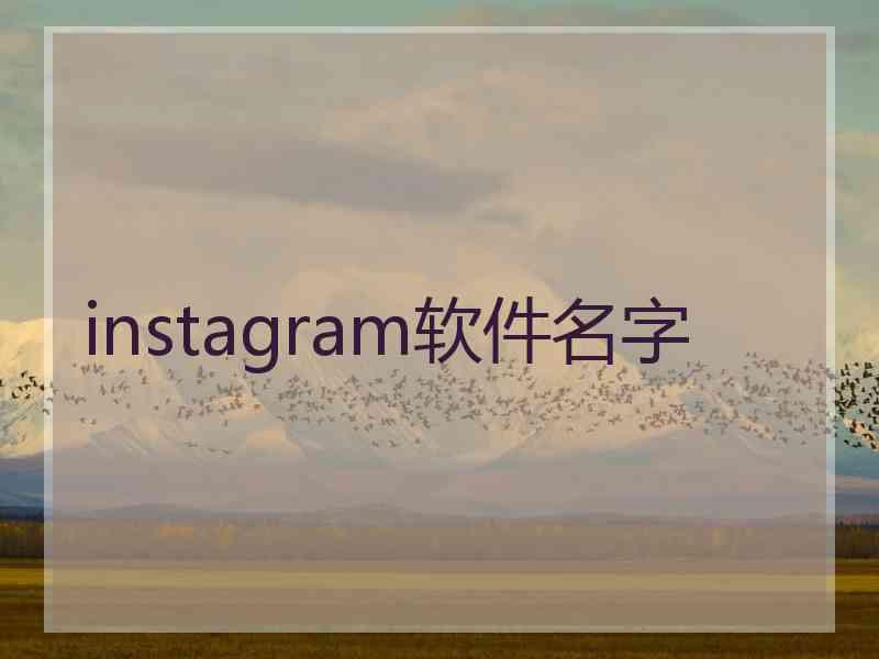 instagram软件名字