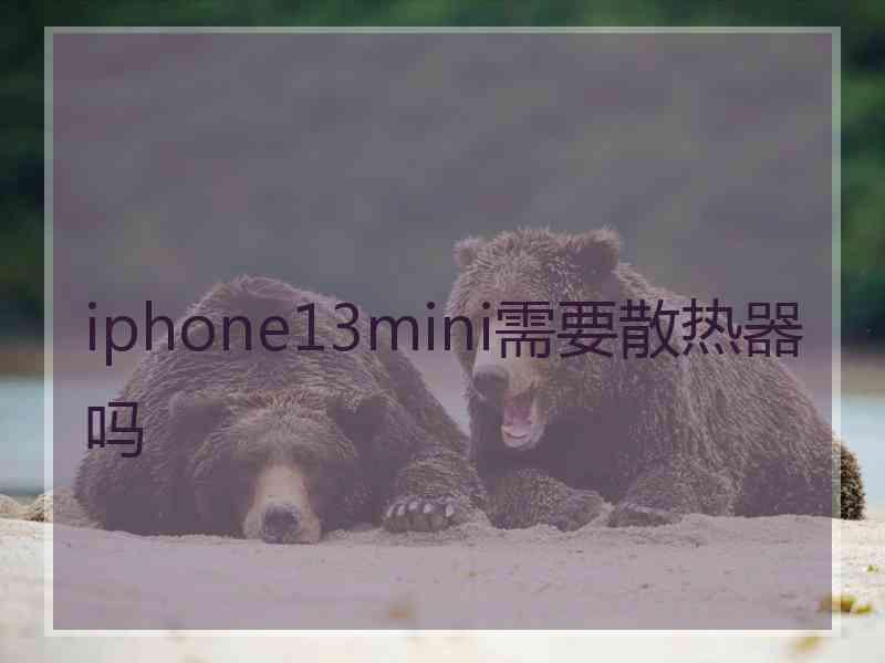 iphone13mini需要散热器吗