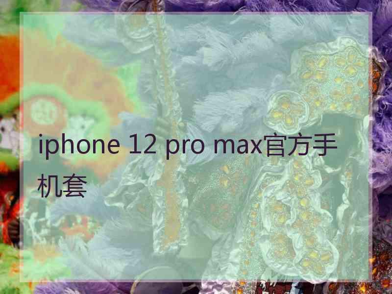 iphone 12 pro max官方手机套